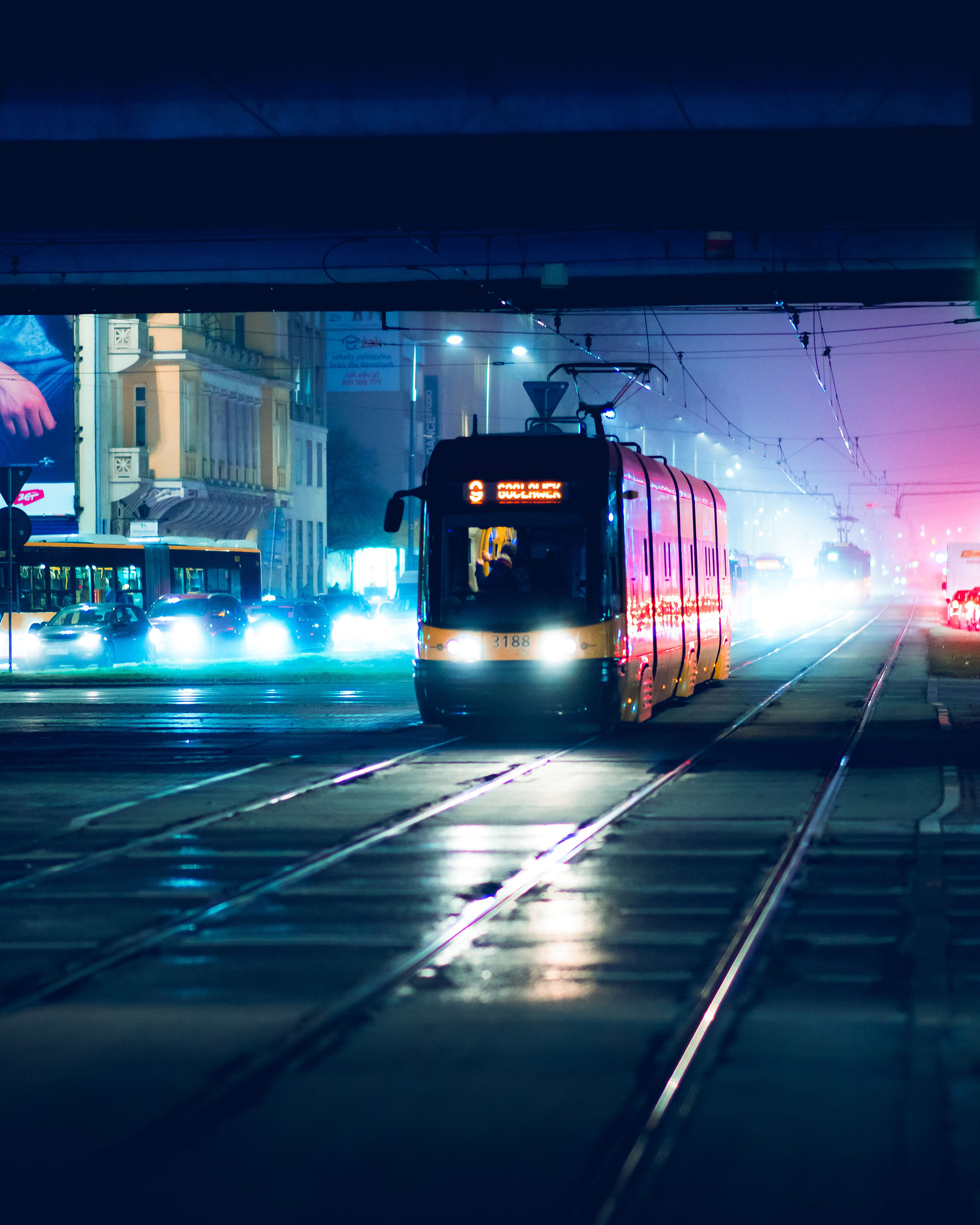 pexels-adam-borkowski-4389329